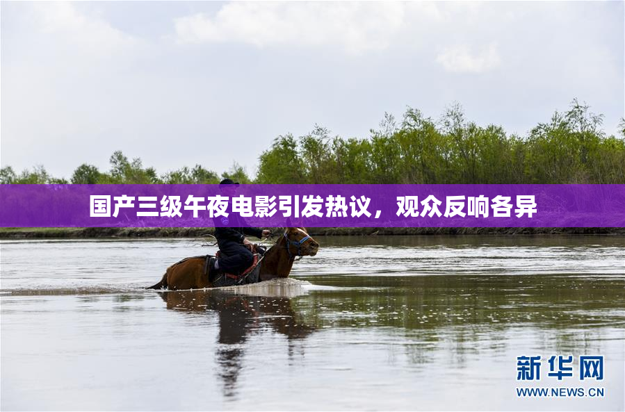 国产三级午夜电影引发热议，观众反响各异