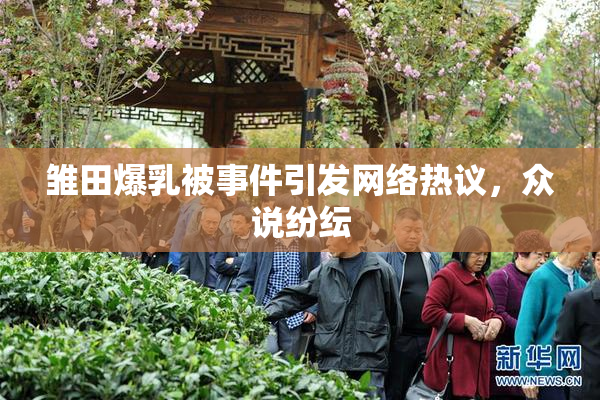 雏田爆乳被事件引发网络热议，众说纷纭