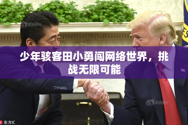 少年骇客田小勇闯网络世界，挑战无限可能
