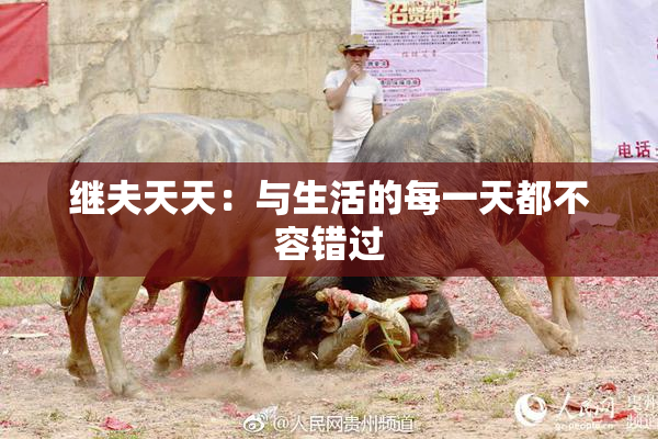继夫天天：与生活的每一天都不容错过