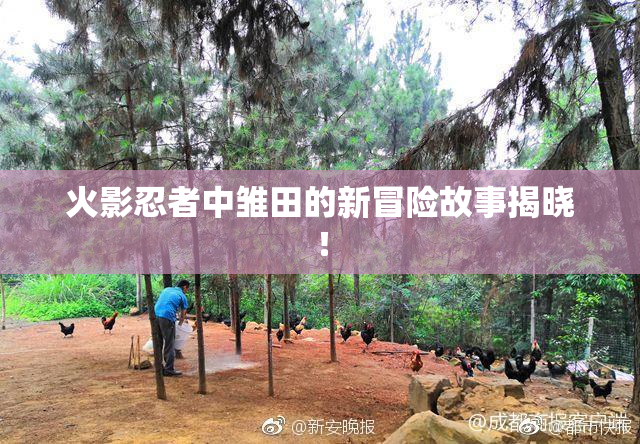 火影忍者中雏田的新冒险故事揭晓！