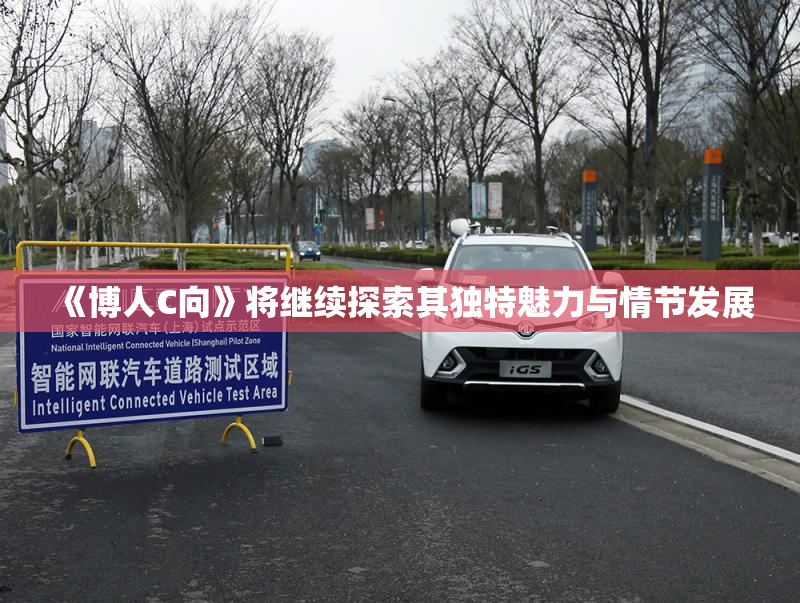 《博人C向》将继续探索其独特魅力与情节发展
