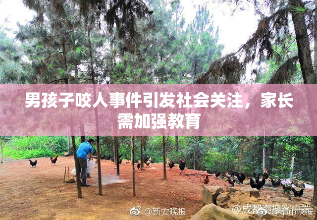 男孩子咬人事件引发社会关注，家长需加强教育