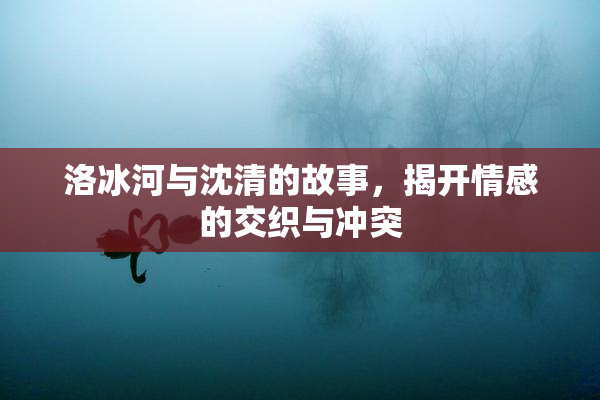 洛冰河与沈清的故事，揭开情感的交织与冲突