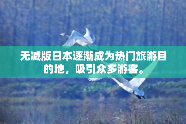 无减版日本逐渐成为热门旅游目的地，吸引众多游客。