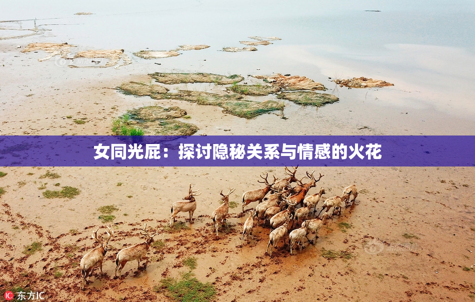 女同光屁：探讨隐秘关系与情感的火花