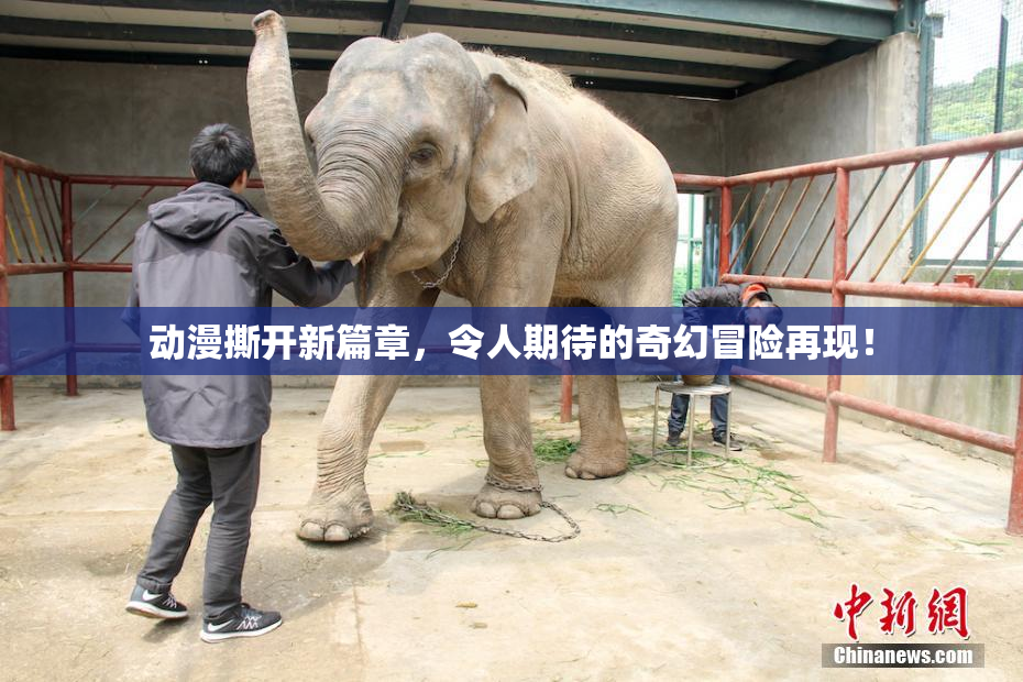 动漫撕开新篇章，令人期待的奇幻冒险再现！