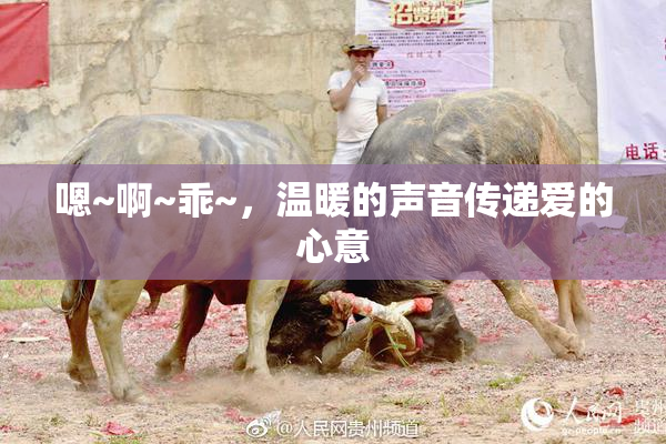 嗯~啊~乖~，温暖的声音传递爱的心意