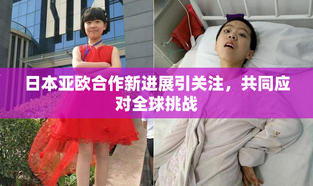 日本亚欧合作新进展引关注，共同应对全球挑战