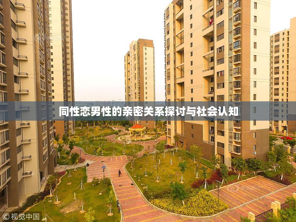 同性恋男性的亲密关系探讨与社会认知