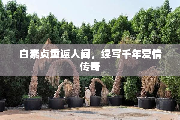白素贞重返人间，续写千年爱情传奇