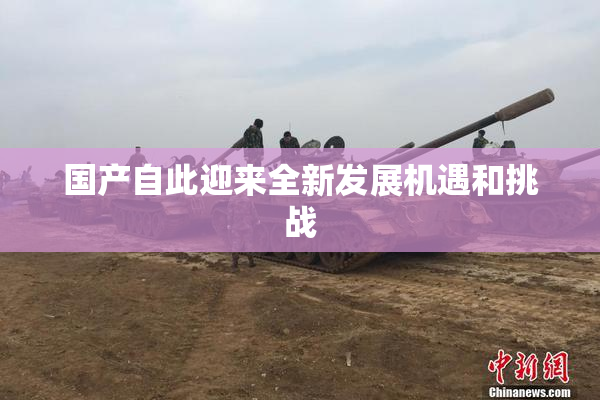 国产自此迎来全新发展机遇和挑战
