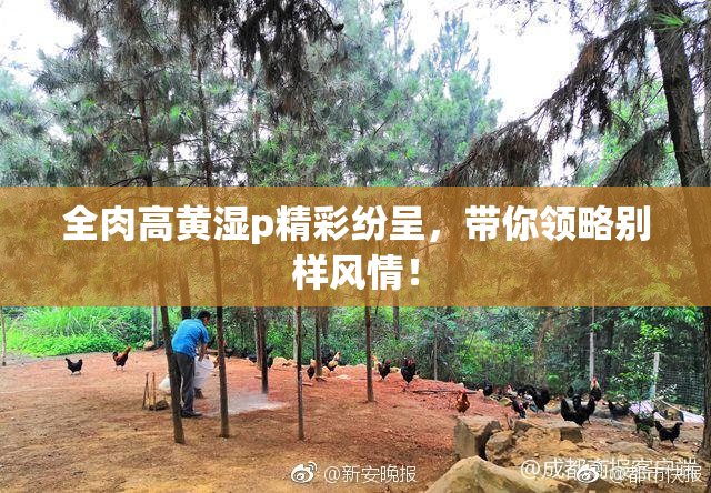 全肉高黄湿p精彩纷呈，带你领略别样风情！