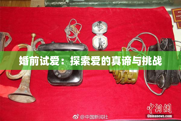 婚前试爱：探索爱的真谛与挑战