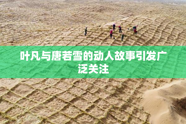 叶凡与唐若雪的动人故事引发广泛关注