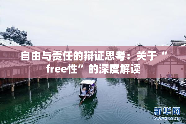 自由与责任的辩证思考：关于“free性”的深度解读