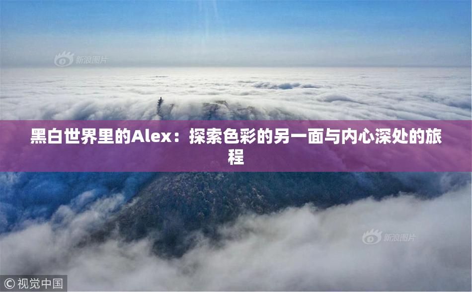 黑白世界里的Alex：探索色彩的另一面与内心深处的旅程