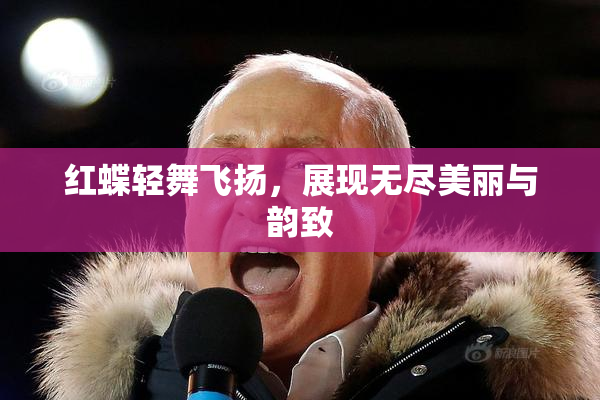 红蝶轻舞飞扬，展现无尽美丽与韵致