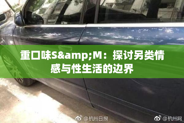 重口味S&M：探讨另类情感与性生活的边界