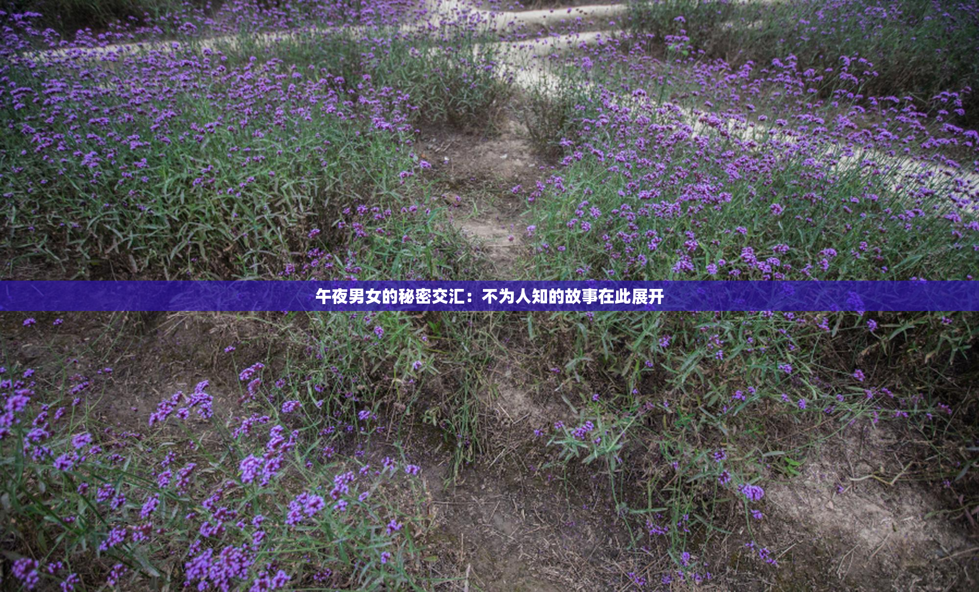 午夜男女的秘密交汇：不为人知的故事在此展开
