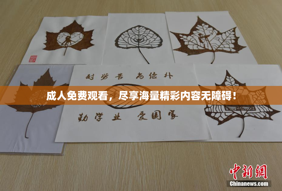 成人免费观看，尽享海量精彩内容无障碍！
