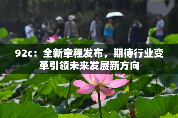 92c：全新章程发布，期待行业变革引领未来发展新方向