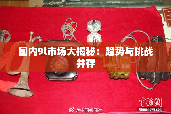 国内9l市场大揭秘：趋势与挑战并存