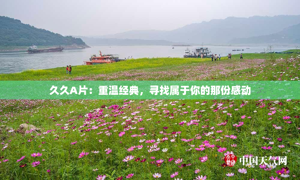 久久A片：重温经典，寻找属于你的那份感动