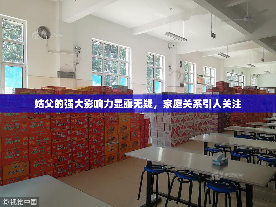 姑父的强大影响力显露无疑，家庭关系引人关注