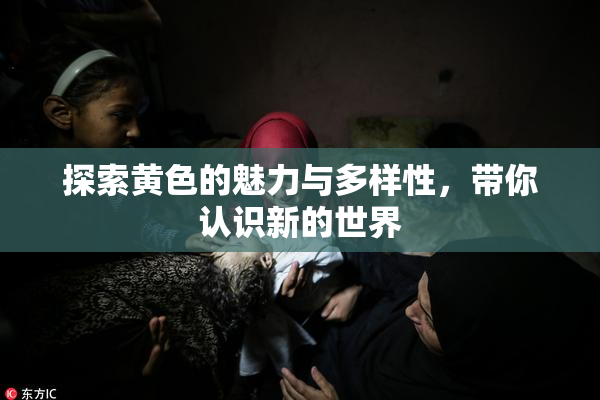 探索黄色的魅力与多样性，带你认识新的世界