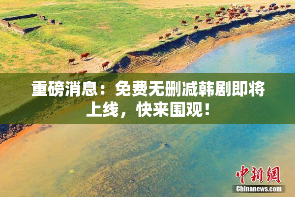 重磅消息：免费无删减韩剧即将上线，快来围观！