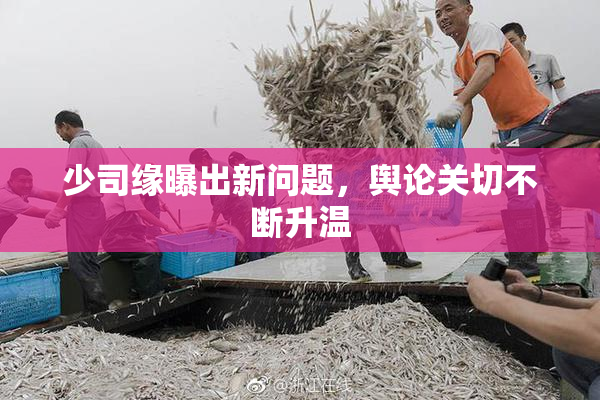 少司缘曝出新问题，舆论关切不断升温