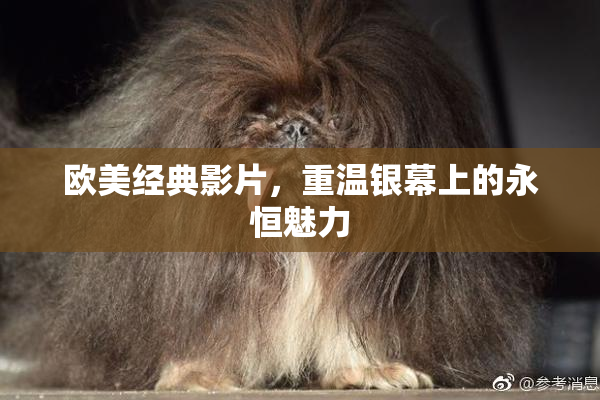 欧美经典影片，重温银幕上的永恒魅力