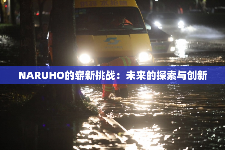 NARUHO的崭新挑战：未来的探索与创新