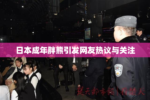 日本成年胖熊引发网友热议与关注