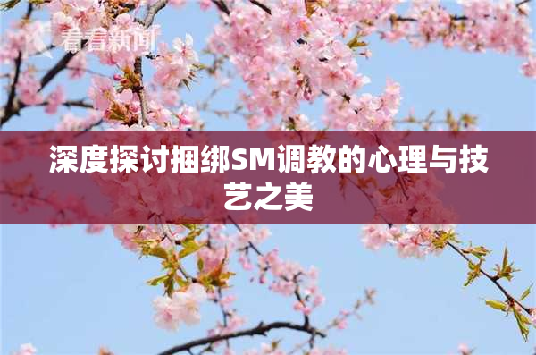 深度探讨捆绑SM调教的心理与技艺之美