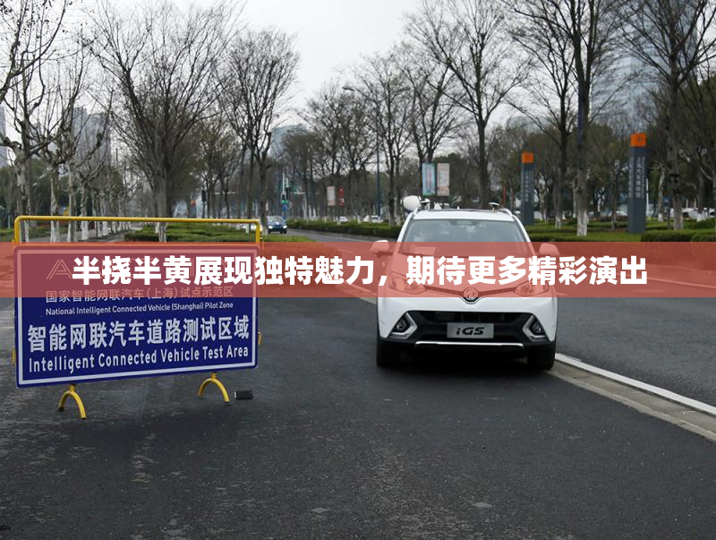 半挠半黄展现独特魅力，期待更多精彩演出