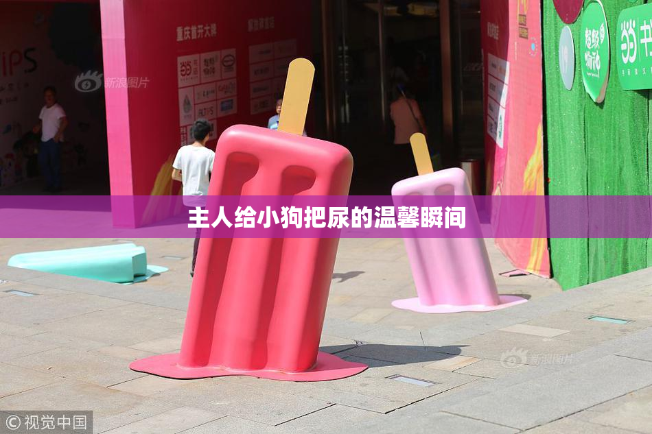 主人给小狗把尿的温馨瞬间