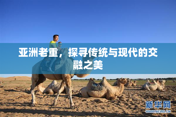 亚洲老重，探寻传统与现代的交融之美