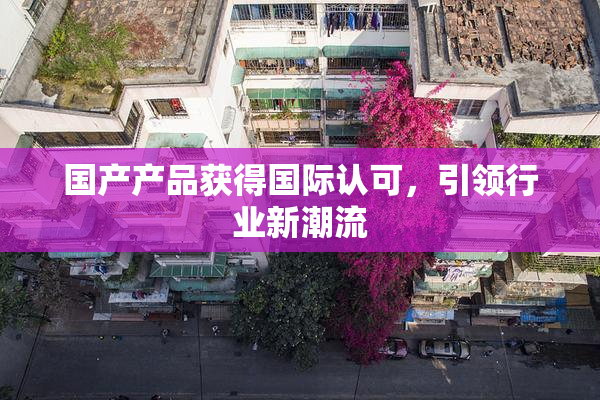国产产品获得国际认可，引领行业新潮流