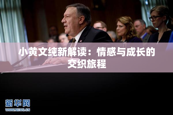 小黄文纯新解读：情感与成长的交织旅程