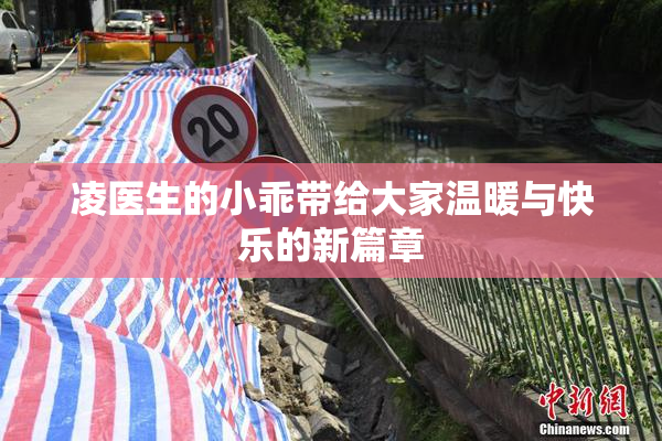 凌医生的小乖带给大家温暖与快乐的新篇章