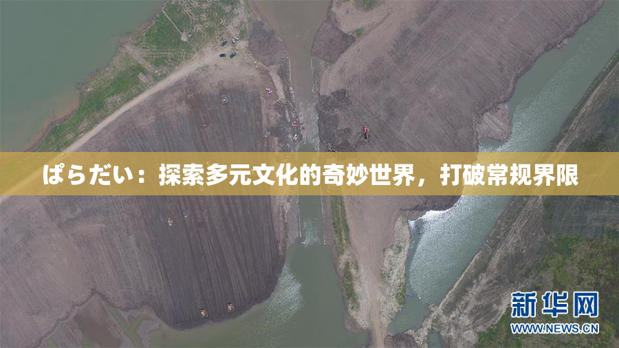 ぱらだい：探索多元文化的奇妙世界，打破常规界限