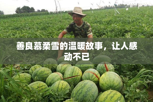 善良慕柔雪的温暖故事，让人感动不已