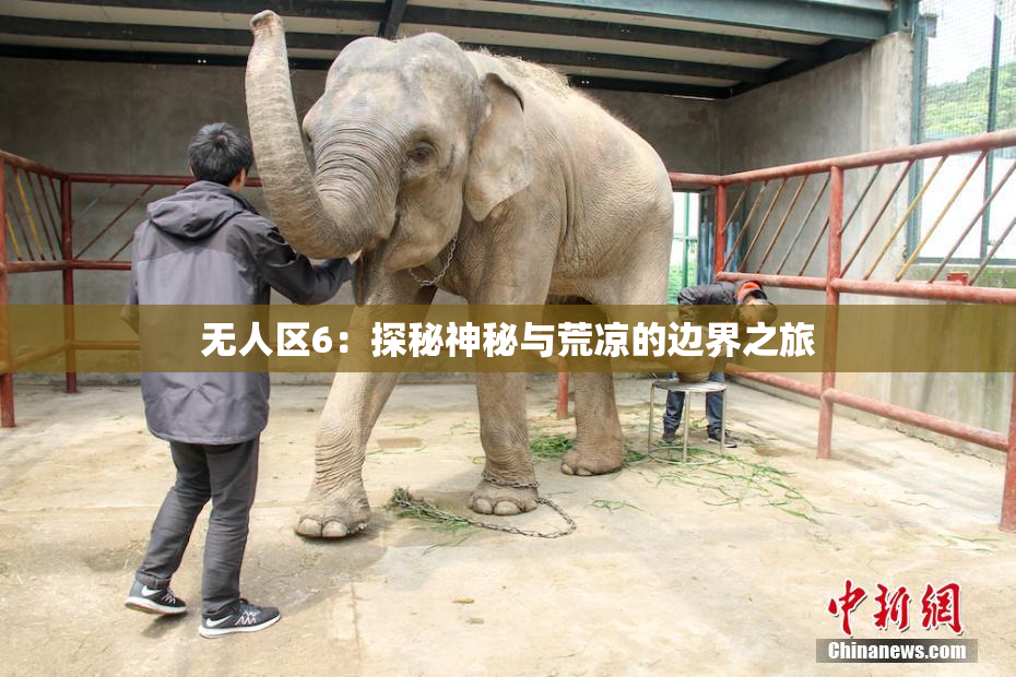 无人区6：探秘神秘与荒凉的边界之旅
