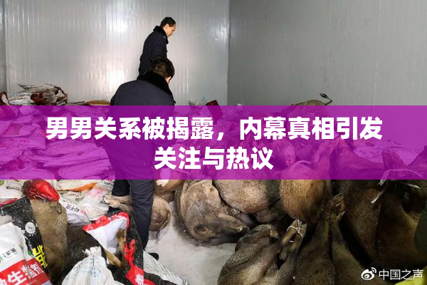 男男关系被揭露，内幕真相引发关注与热议