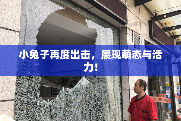 小兔子再度出击，展现萌态与活力！