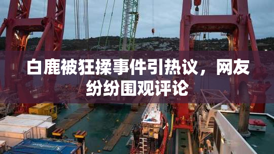 白鹿被狂揉事件引热议，网友纷纷围观评论