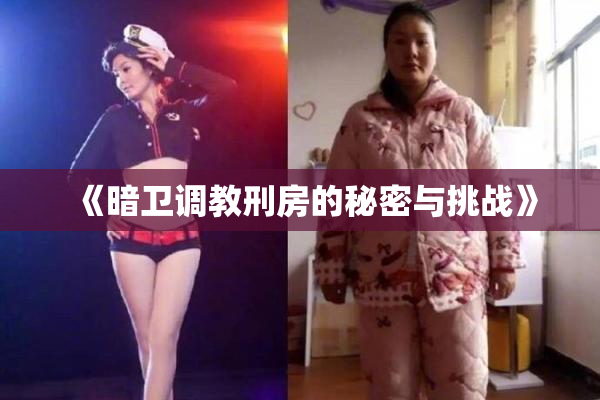 《暗卫调教刑房的秘密与挑战》
