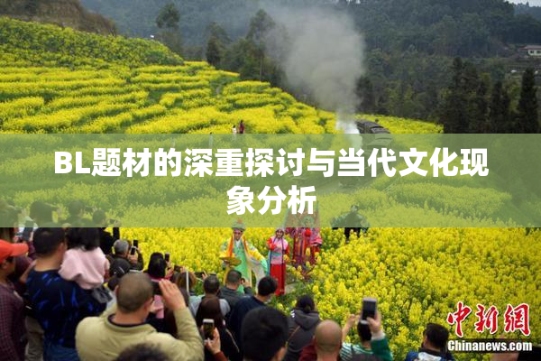 BL题材的深重探讨与当代文化现象分析